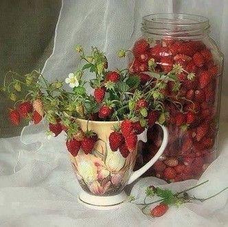 Berry Bounty: Handpicked Farm Fresh Delights